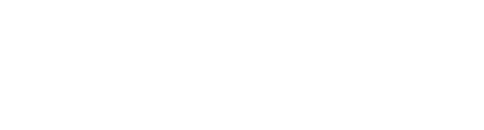 TopSpin Digital